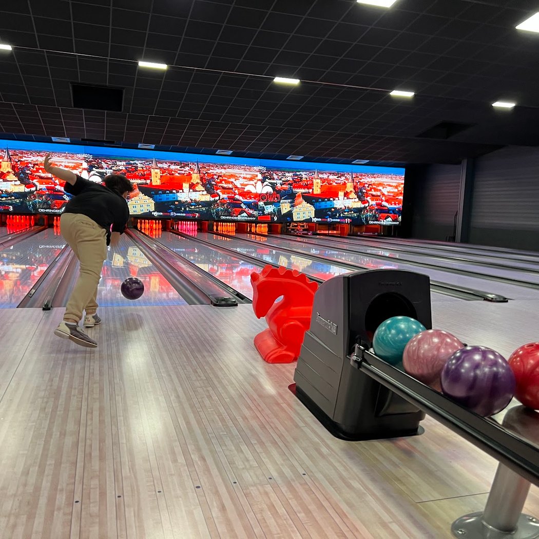 Lily Bowl - Bowling Houdan 1